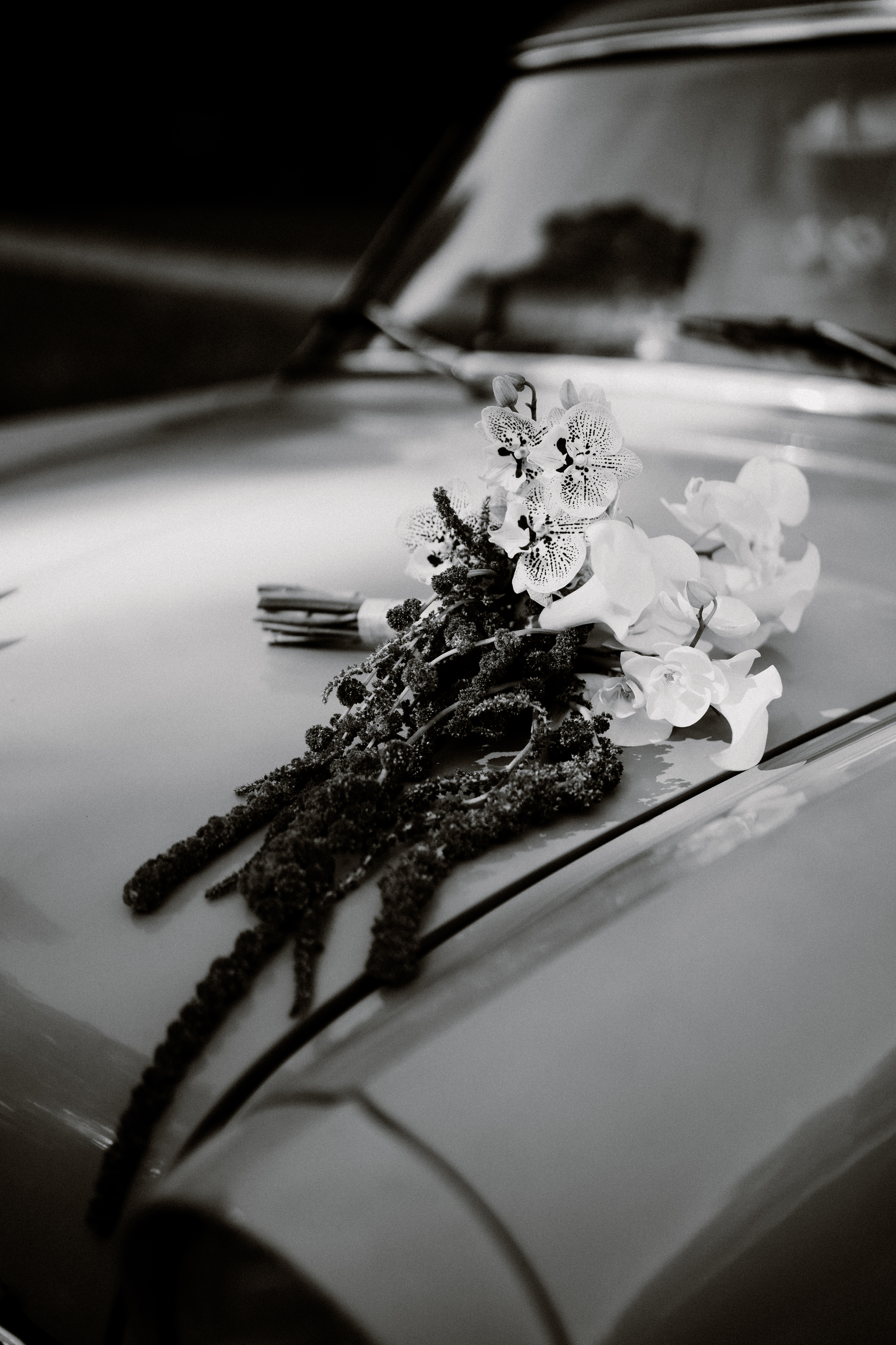 Mariage civil Esther et William